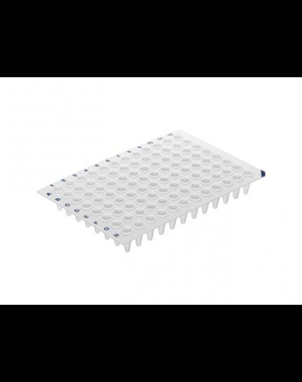96-Well qPCR Plate white, low profile, no skirt C10 x 5 Plate/case
