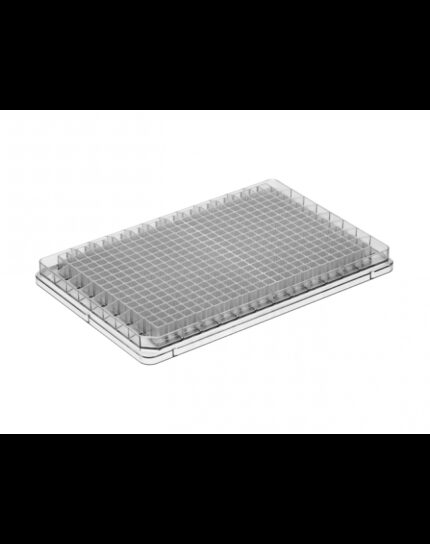 384-well microplate PS clear 50/case